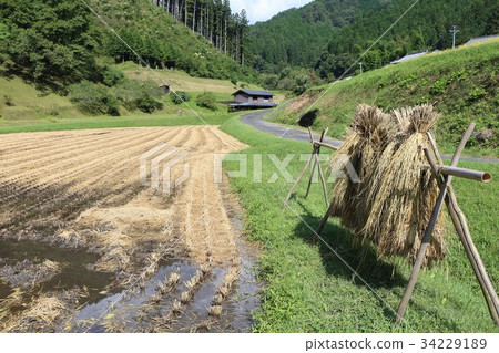 Yamato in early autumn 34229189