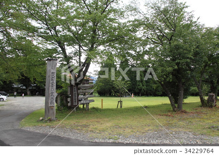 Elementary school branch 34229764