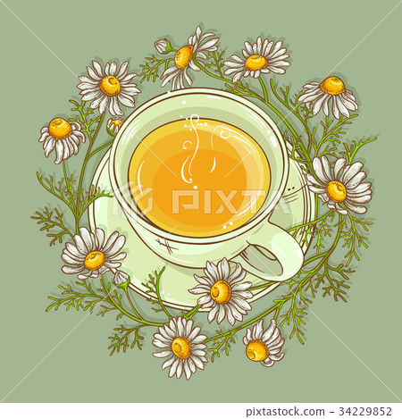 cup of chamomile tea cup of chamomile tea 34229852