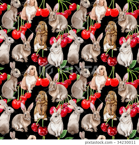 Cherry wild fruit pattern in a watercolor style. Cherry wild fruit pattern in a watercolor style. 34230011