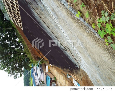 Spray the growth base on the net for greening the slope Spray the growth base on the net for greening the slope 34230987