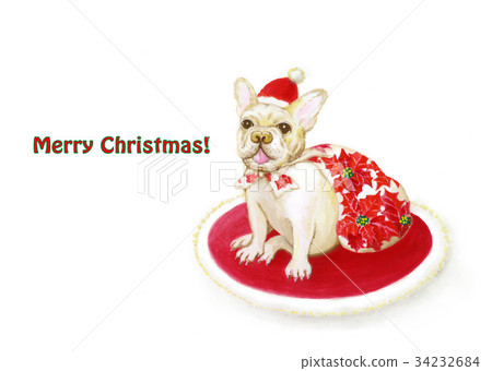 Santa's French Bulldock _ White Background 34232684
