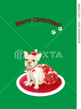 Santa's French Bulldog _ green back _ vertical 34232686