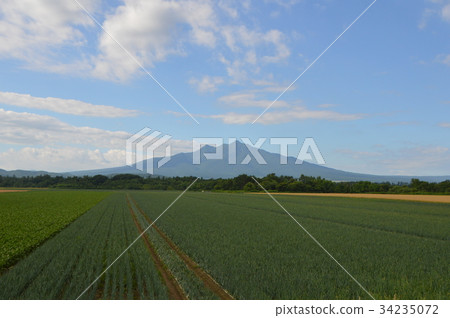Countryside, Shari-dake (Hokkaido Shari-gun Shari-cho) 34235072
