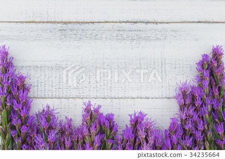 Violet liatris flowers on white wood background 34235664