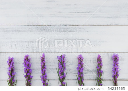 Violet liatris flowers on white wood background Violet liatris flowers on white wood background 34235665