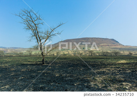 Grasslands Fire Burn Landscape 34235710