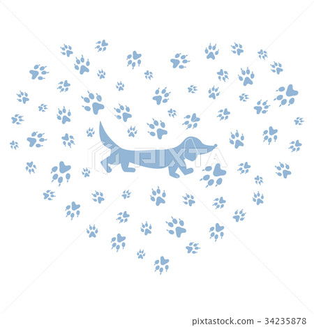 dachshund silhouette on a background of dog tracks 34235878