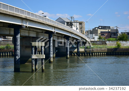 淀川区 花茎 景观摄影