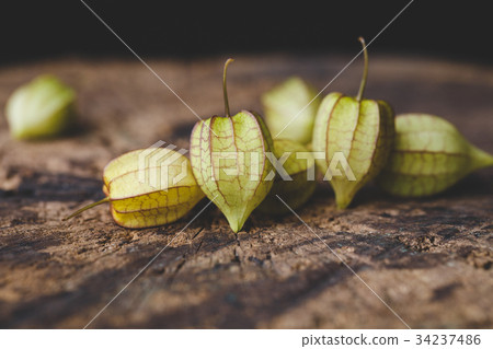 Ground Cherries Ground Cherries 34237486