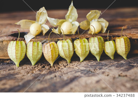Ground Cherries Ground Cherries 34237488