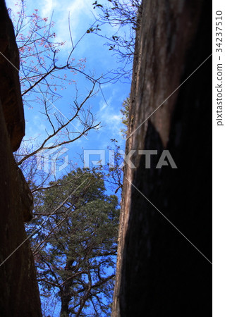 Natural Bridge Stelliso Park, Kentucky, USA Natural Bridge State Natural Bridge Stelliso Park, Kentucky, USA Natural Bridge State 34237510