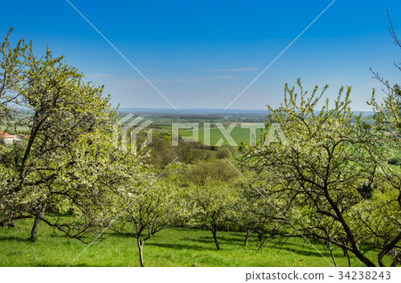 A view of the countryside in the Meuse 34238243