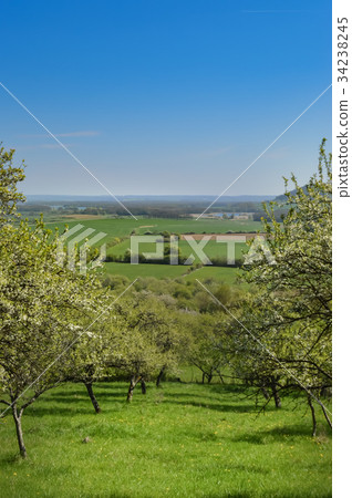 A view of the countryside in the Meuse A view of the countryside in the Meuse 34238245