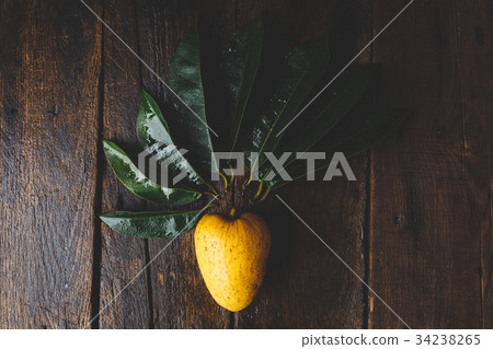 Annona Reticulata Fruits 34238265