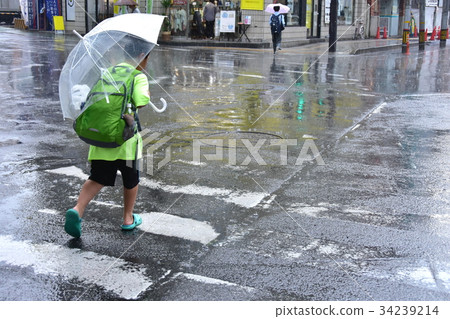 孩子們穿過雨中的路口 34239214