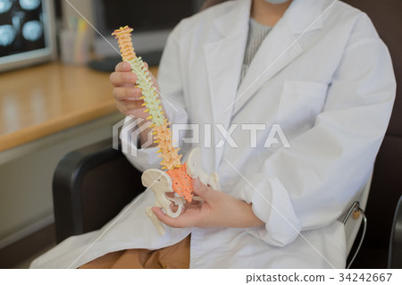 physician, spine, pelvi 34242667