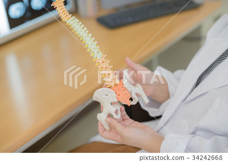 醫生 牙齒矯正醫師 博士 34242668