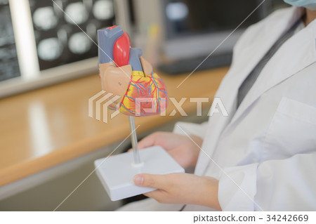 physician, heart, diagnostic 34242669