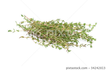 Thyme sprigs isolated on a white background Thyme sprigs isolated on a white background 34242813