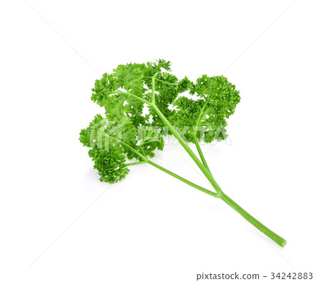parsley isolated on white background parsley isolated on white background 34242883