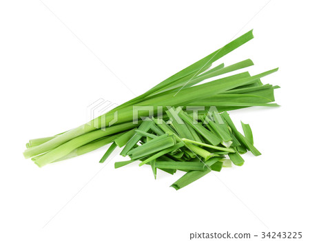 Garlic chives isolated on white background Garlic chives isolated on white background 34243225