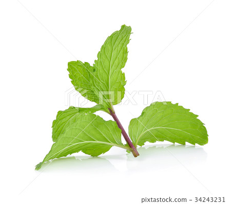 peppermint isolated on the white background. 34243231