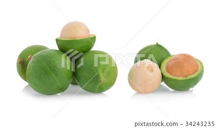 Macadamia nut isolated on white background. Macadamia nut isolated on white background. 34243235