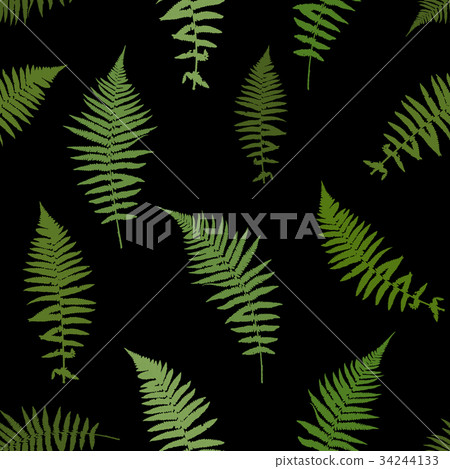 Fern Leaf Vector Background Illustration Fern Leaf Vector Background Illustration 34244133