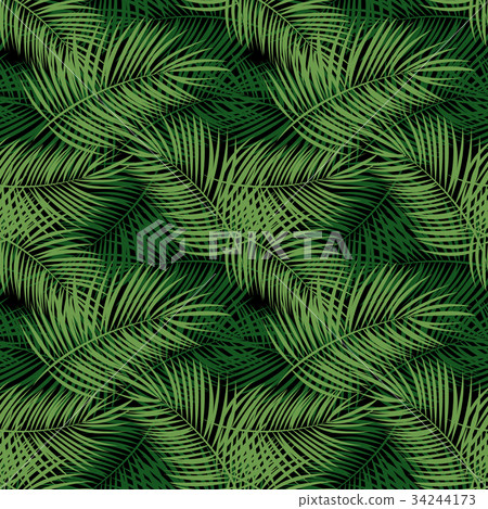 Palm Leaf Vector Seamless Pattern Background Palm Leaf Vector Seamless Pattern Background 34244173