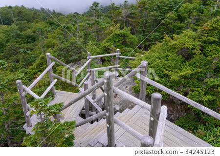 [Yamanashi Prefecture] Stairs in Mt. 34245123