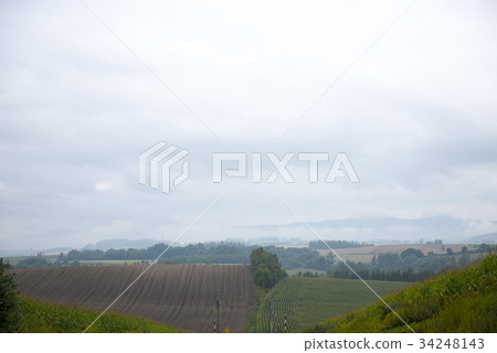 Asagiri Biei 34248143