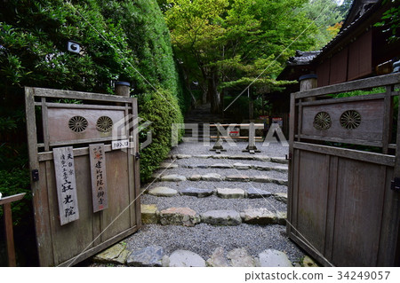 Yase Ohara, Shoko-in Yase Ohara, Shoko-in 34249057