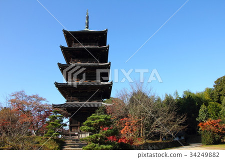 Bicaku Kokubunji Five-storied pag 34249882