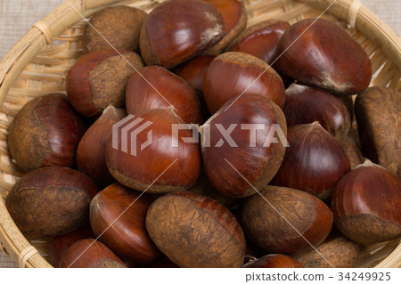 Chestnut  34249925