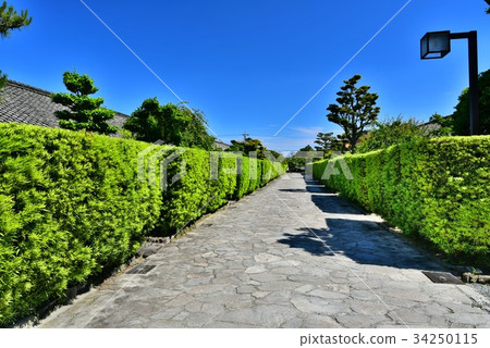 Matsusaka Mijo Banyashiki 34250115