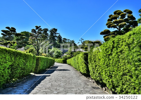 Matsusaka Mijo Banyashiki 34250122