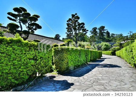 Matsusaka Mijo Banyashiki 34250123