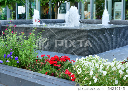 Nationwide Urban Greening Yokohama Fair 34250145