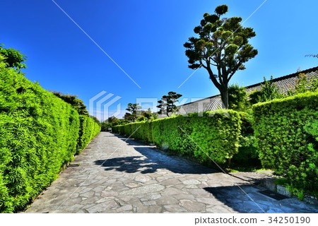 Matsusaka Mijo Banyashiki 34250190