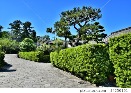 Matsusaka Mijo Banyashiki 34250191