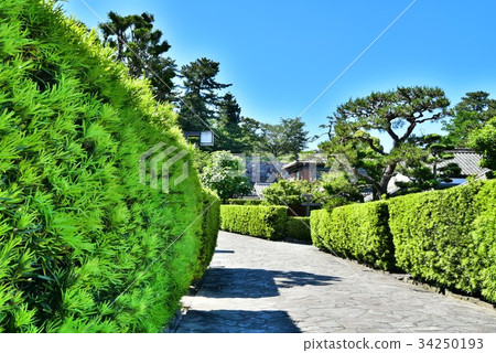 Matsusaka Mijo Banyashiki 34250193