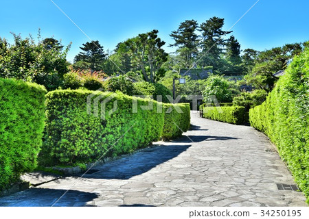 Matsusaka Mijo Banyashiki Matsusaka Mijo Banyashiki 34250195