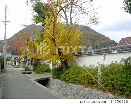 City of Tatsuno Akebono Soy sauce 34250316