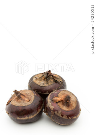 Shirogwai: Water chestnut 34250512