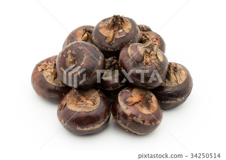 Shirogwai:Water薺 Shirogwai:Water薺 34250514