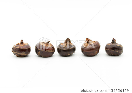 Shirogwai: Water chestnut 34250529
