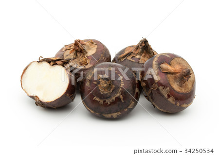 Shirogwai:Water薺 Shirogwai:Water薺 34250534