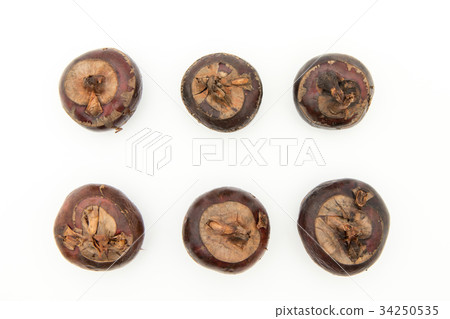 Shirogwai: Water chestnut Shirogwai: Water chestnut 34250535