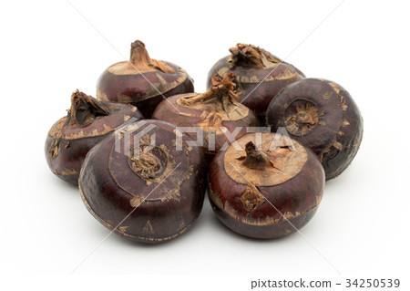Shirogwai:Water薺 Shirogwai:Water薺 34250539